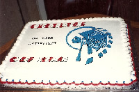 otherspecial cake115.jpg